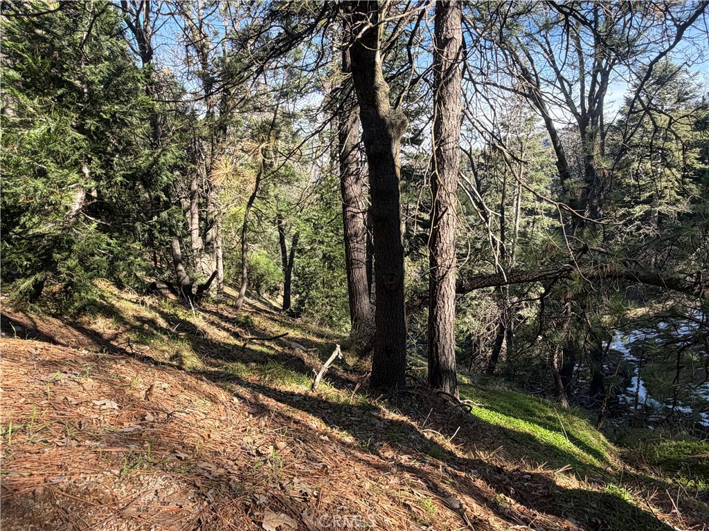 24989 Highland