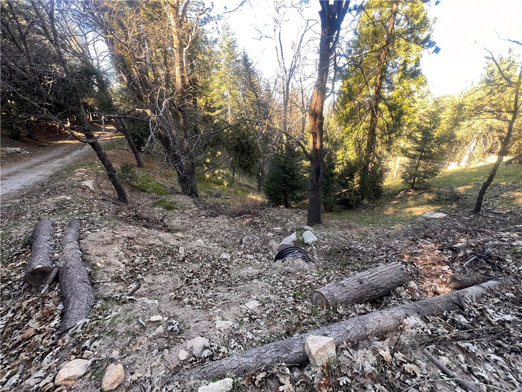 24989 Highland