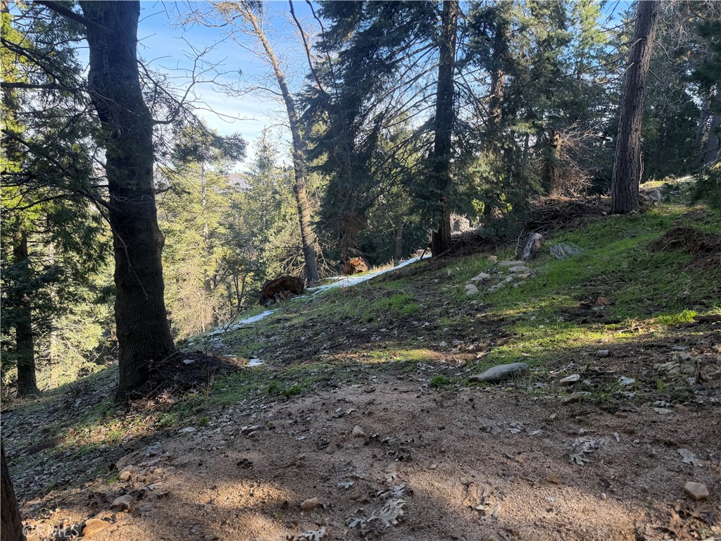 24989 Highland