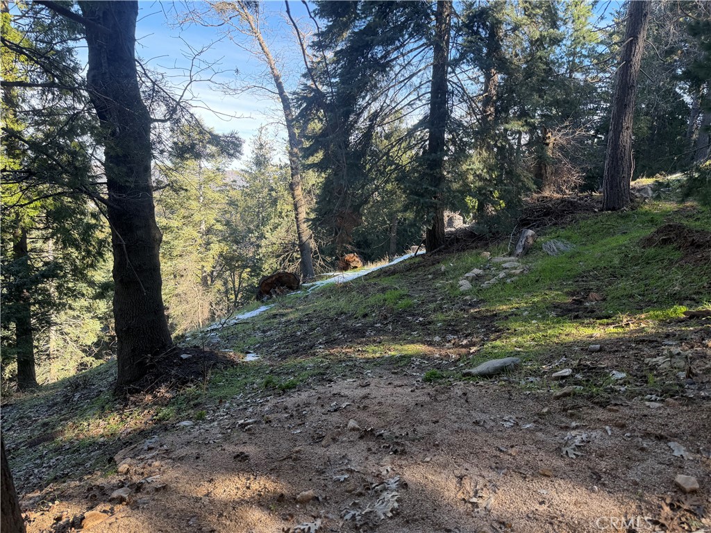 24989 Highland
