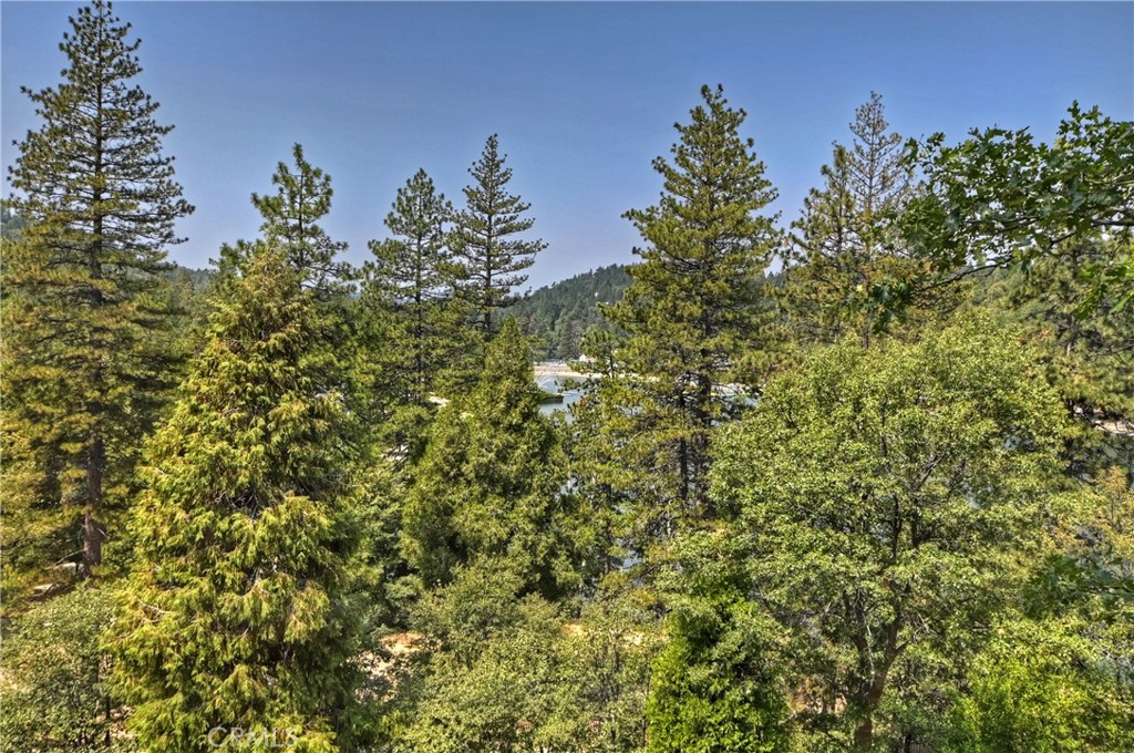 24445 San Moritz Drive