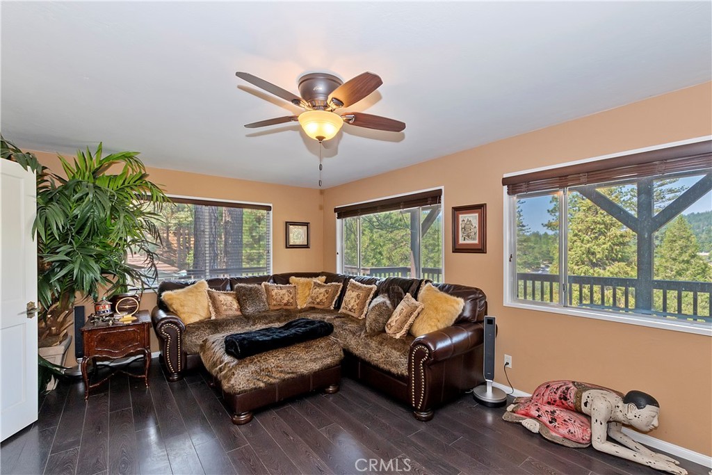 24445 San Moritz Drive