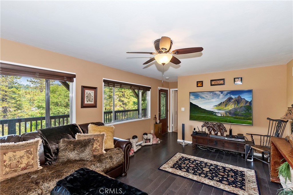 24445 San Moritz Drive