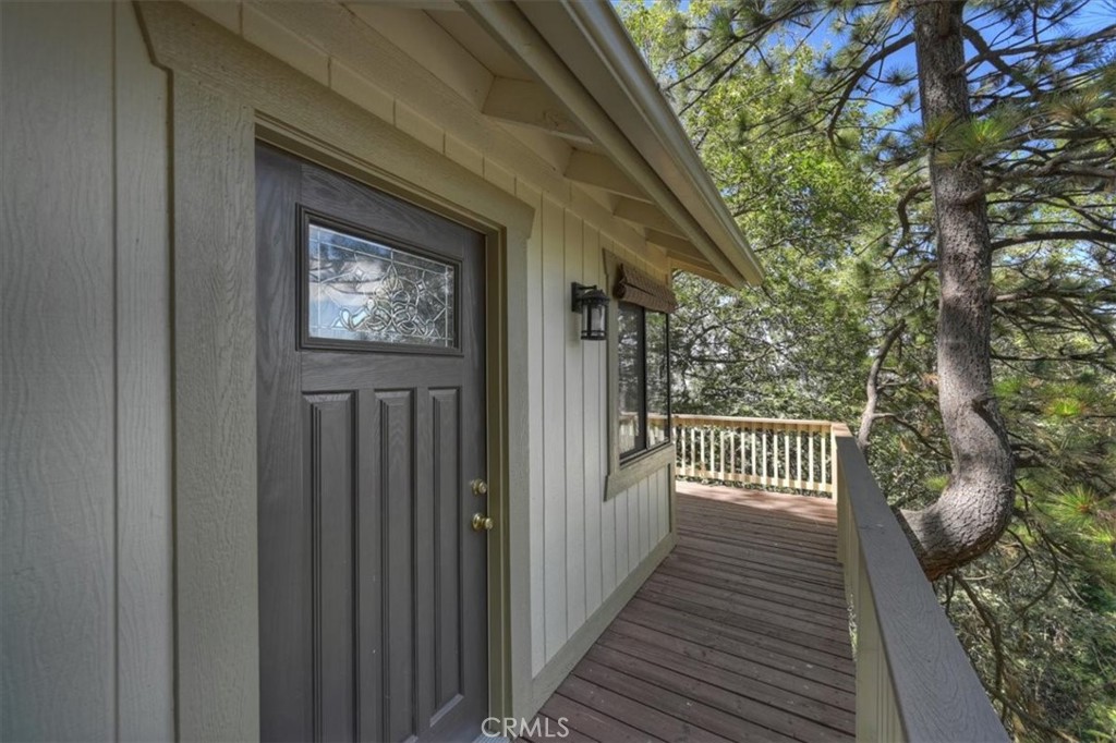955 Coulter Pine