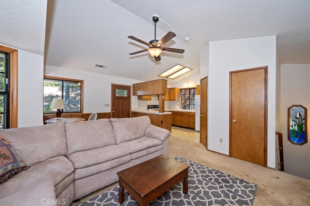 955 Coulter Pine