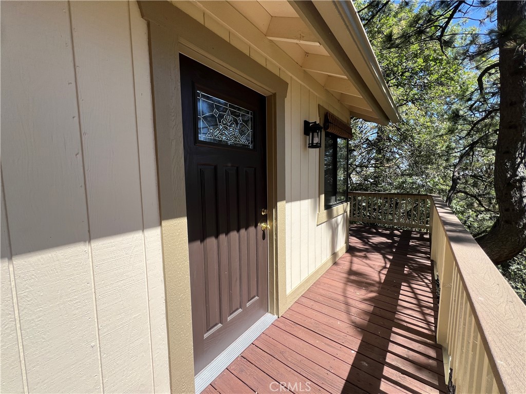 955 Coulter Pine