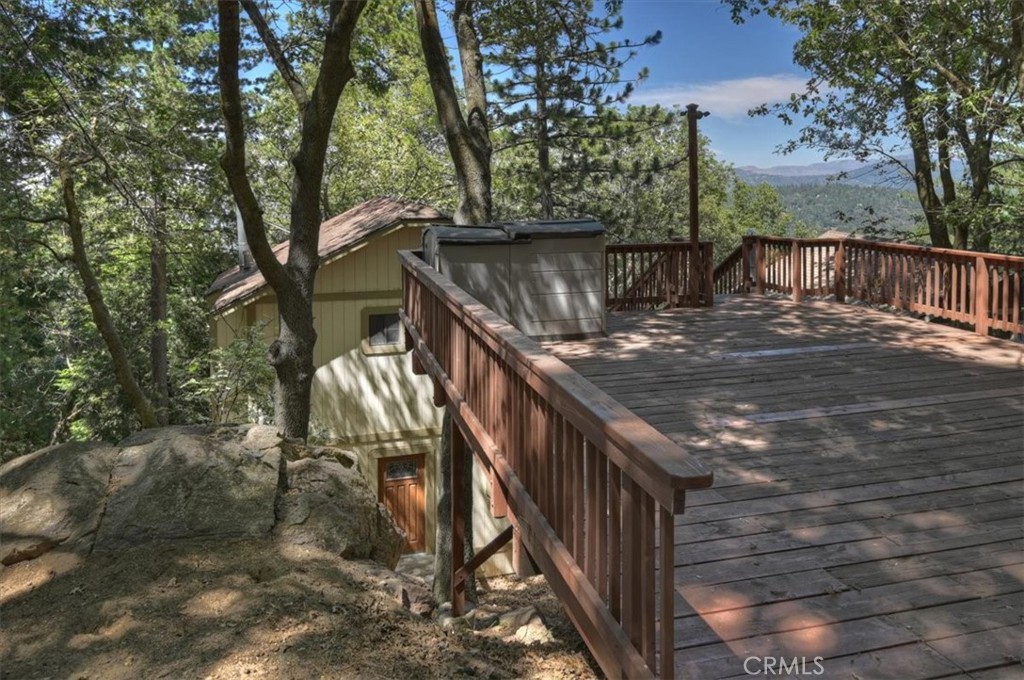 955 Coulter Pine
