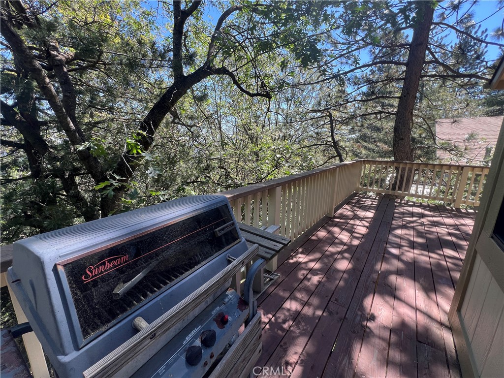 955 Coulter Pine