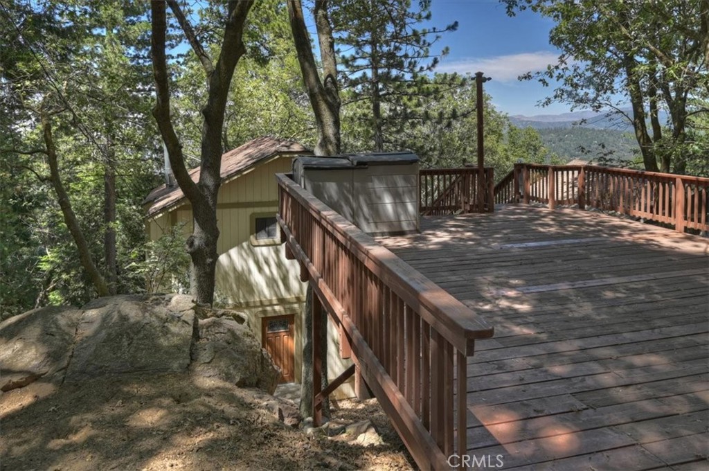 955 Coulter Pine