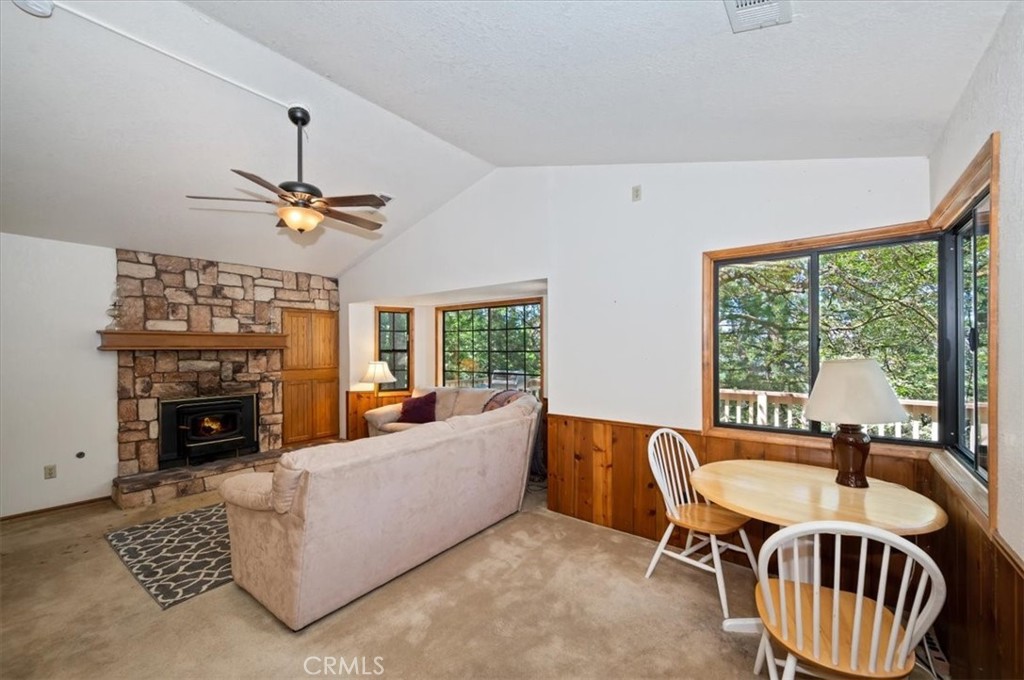 955 Coulter Pine
