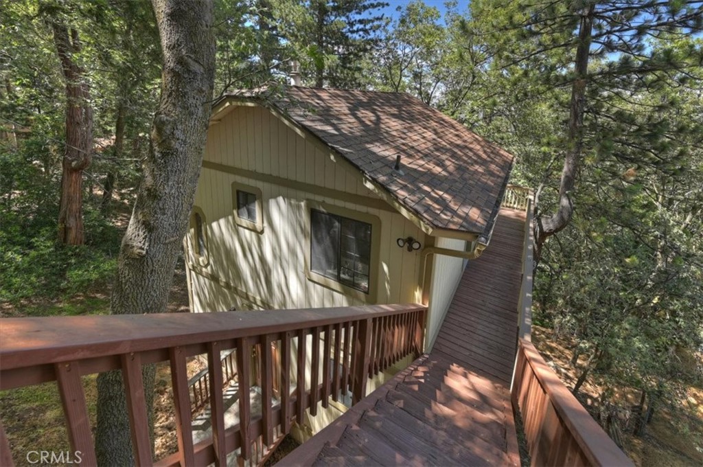 955 Coulter Pine
