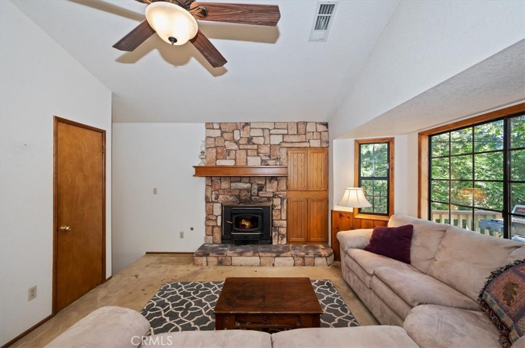 955 Coulter Pine