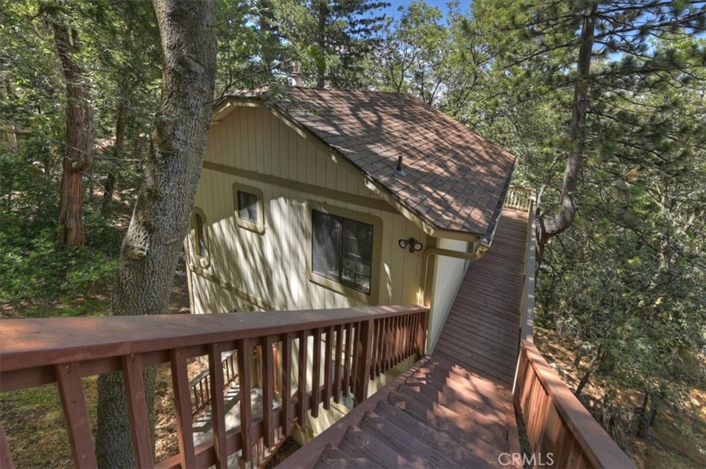 955 Coulter Pine