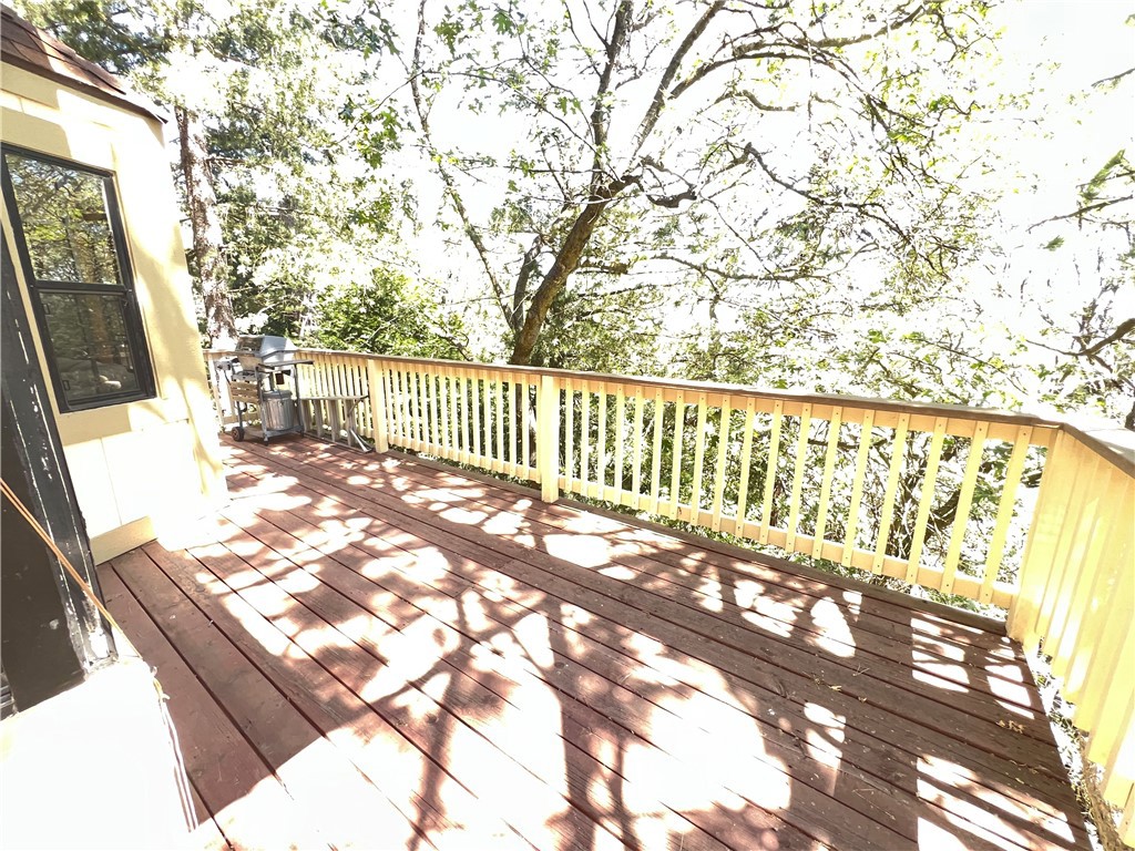 955 Coulter Pine