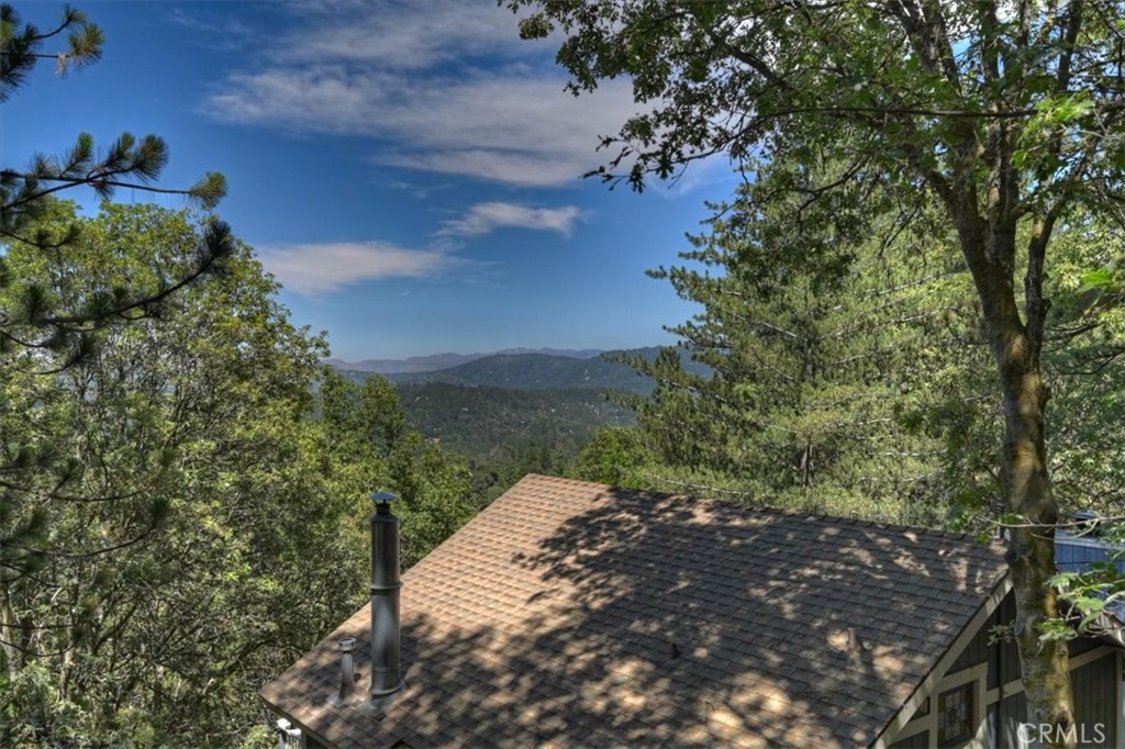 955 Coulter Pine