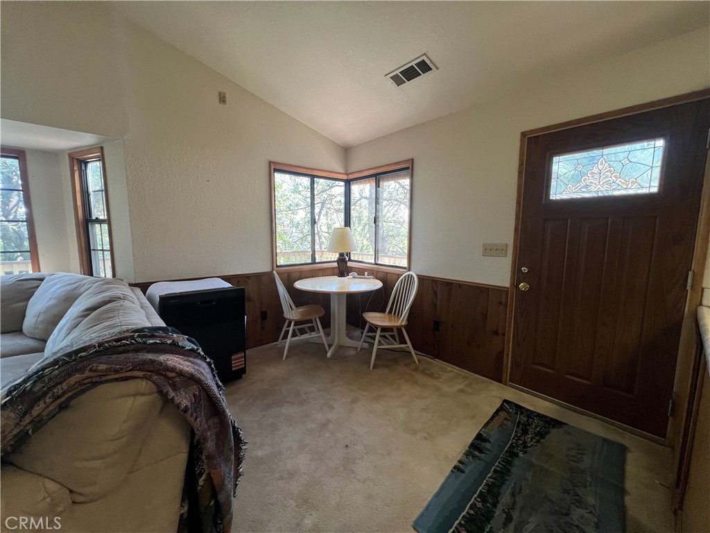 955 Coulter Pine