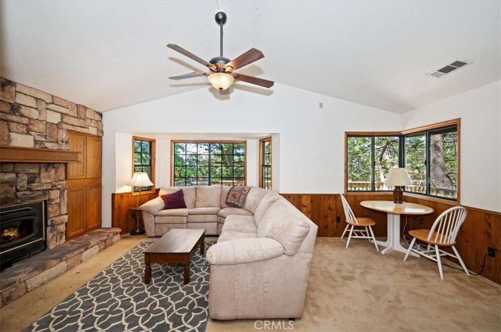 955 Coulter Pine