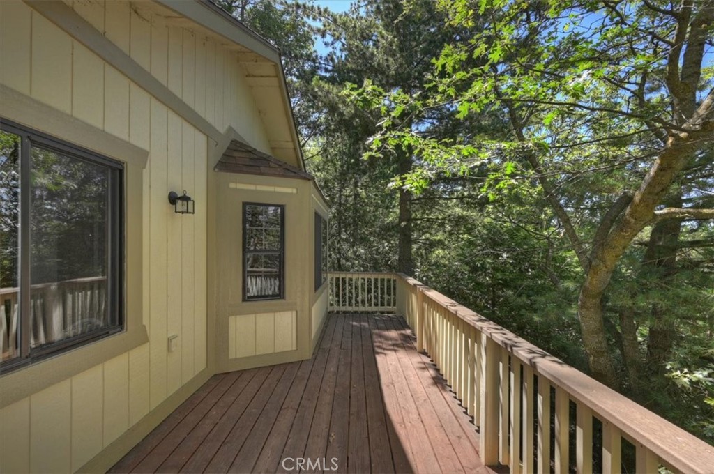 955 Coulter Pine