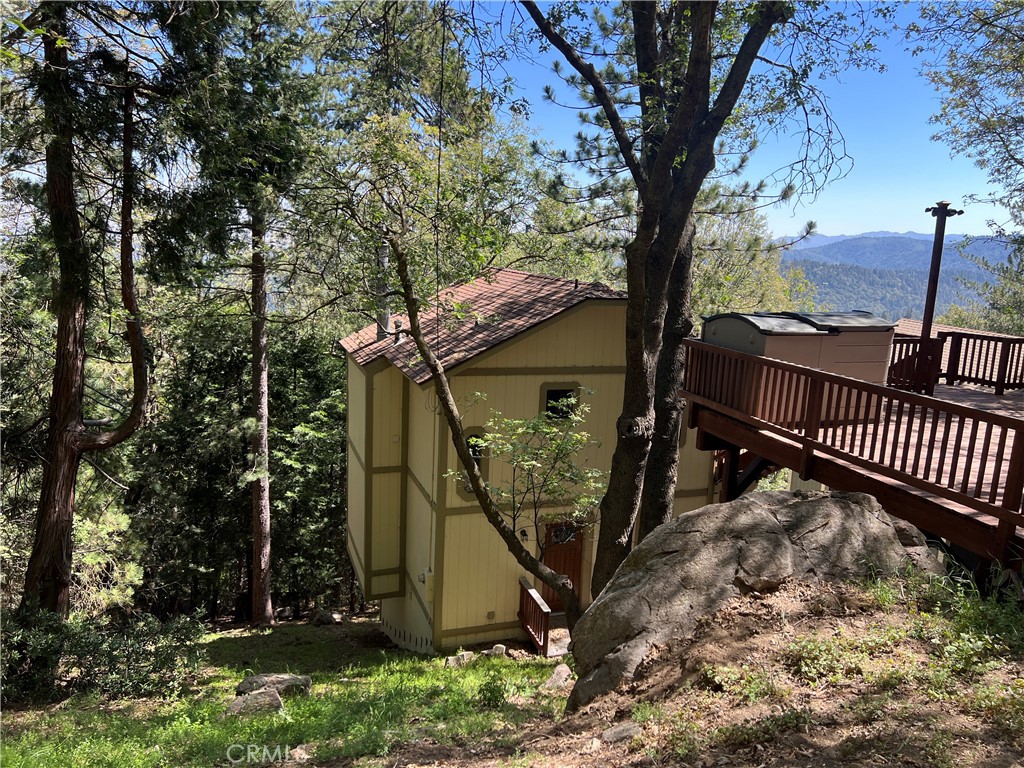 955 Coulter Pine
