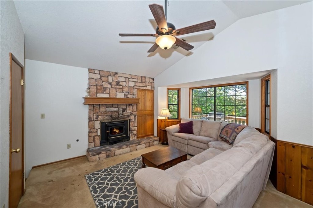 955 Coulter Pine
