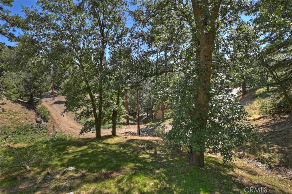 21510 Crest Forest Drive