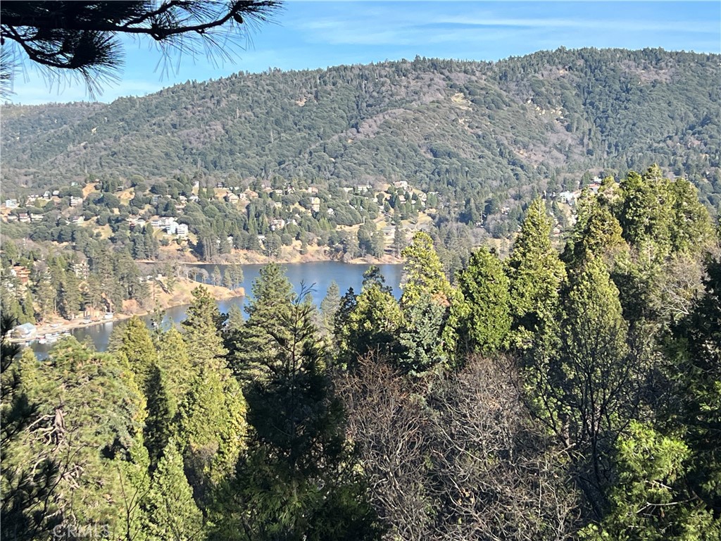 23870 Lakeview