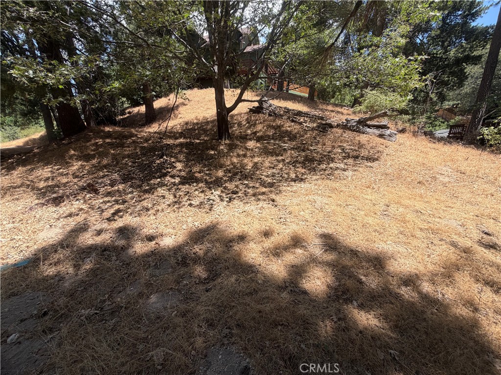 0 Dart Canyon