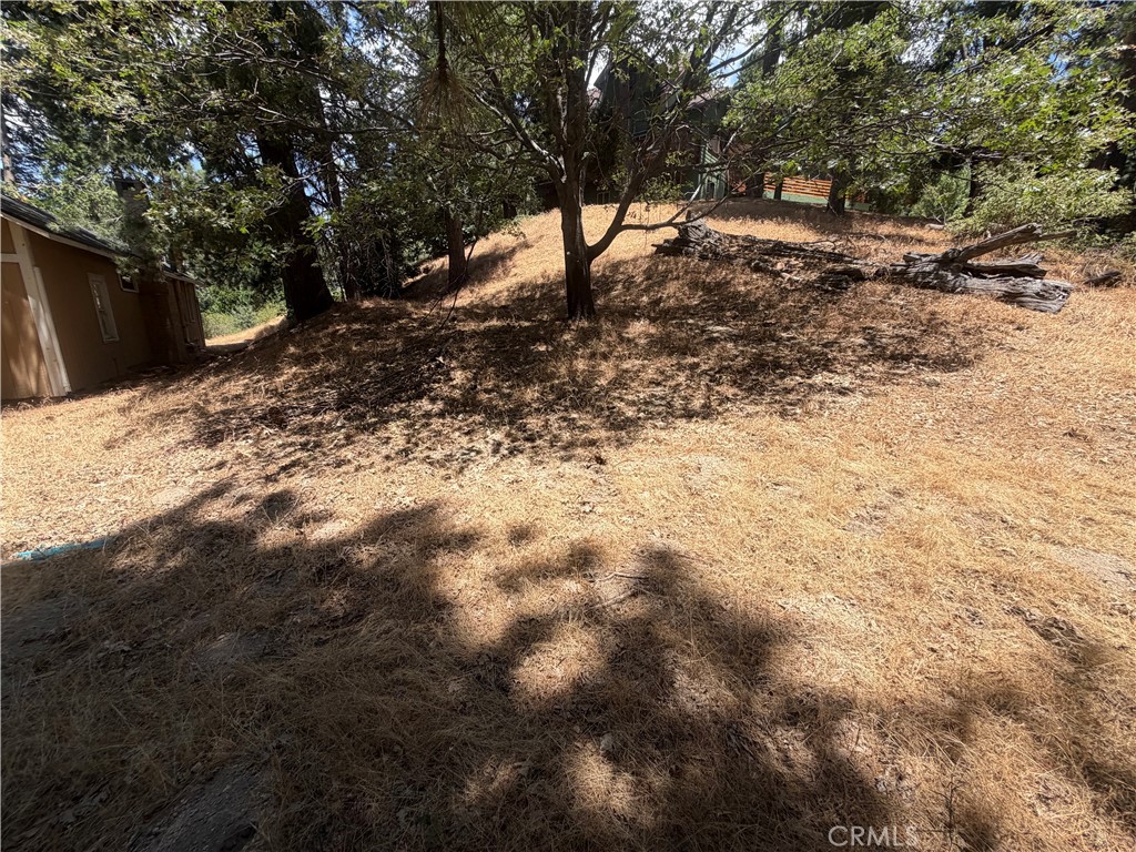 0 Dart Canyon