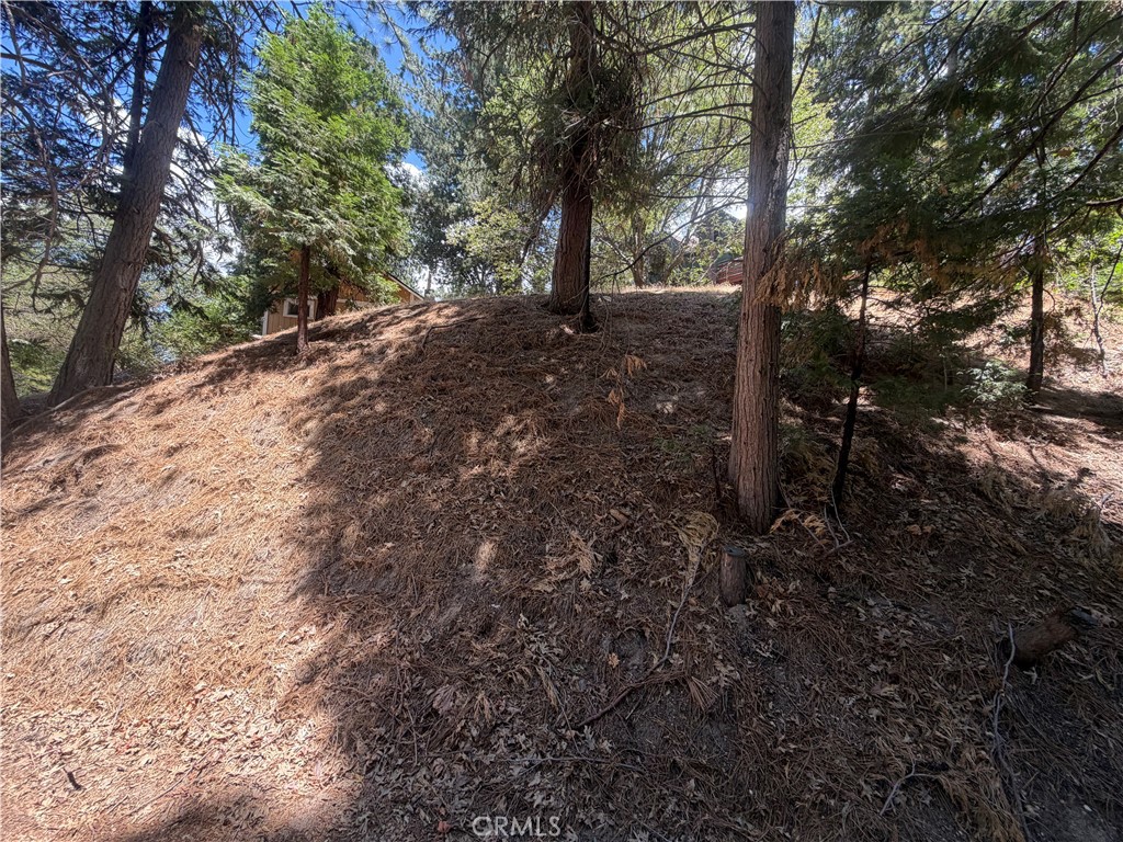 0 Dart Canyon