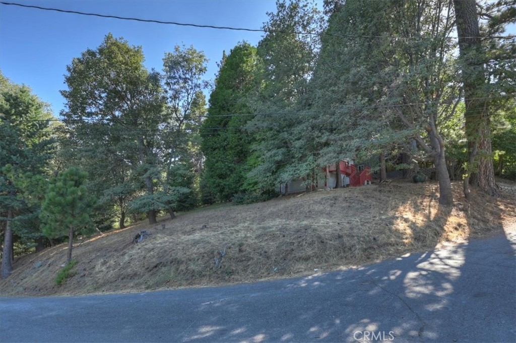 22421 Pine
