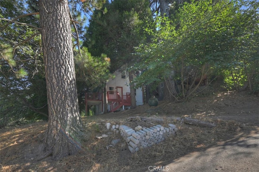 22421 Pine