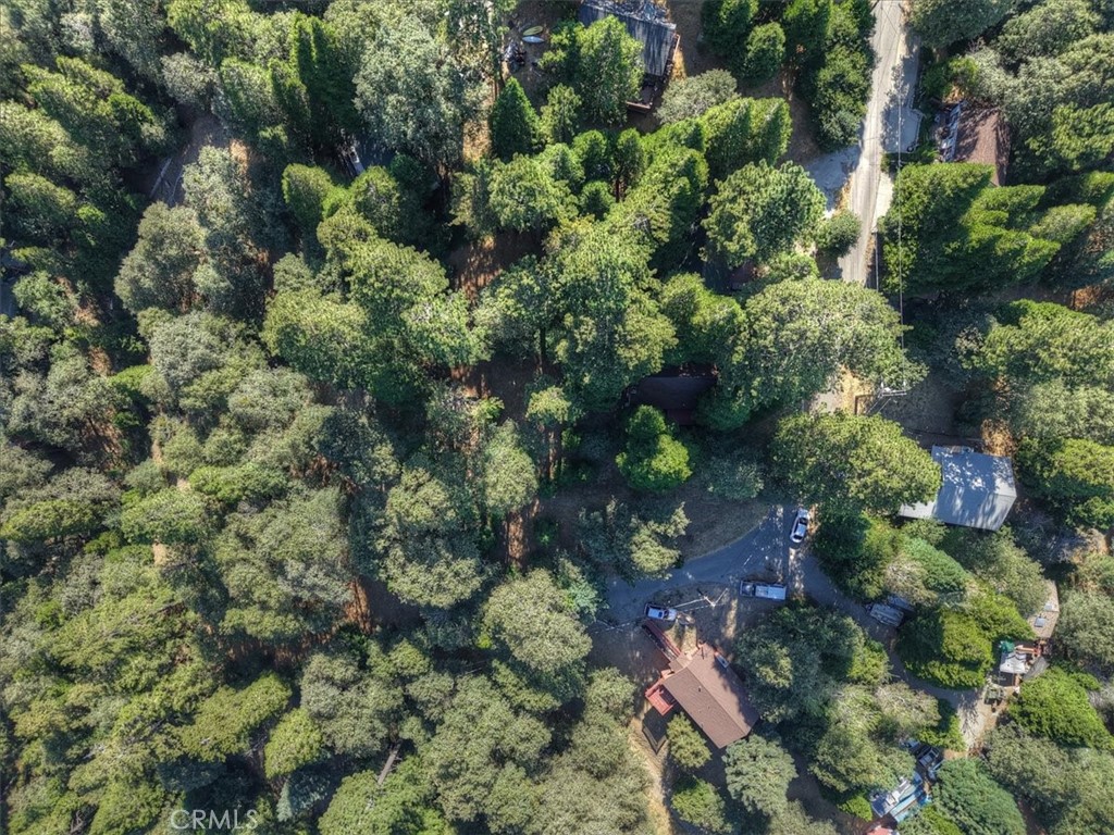 22421 Pine