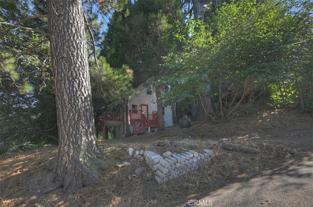 22421 Pine