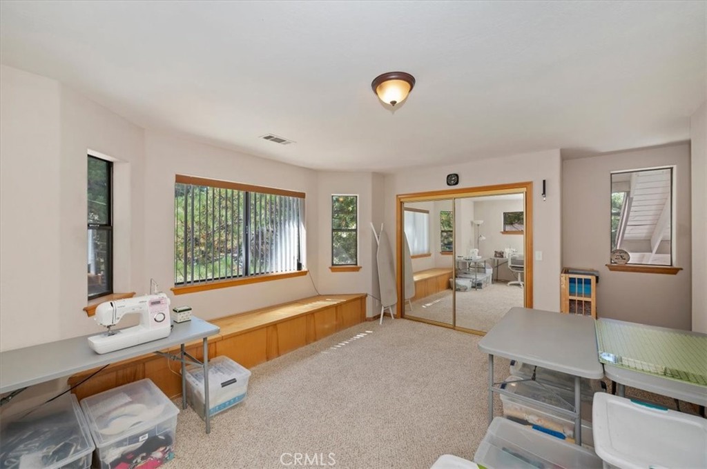 31310 Oakleaf