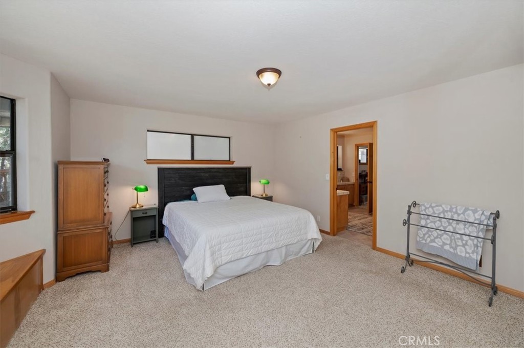 31310 Oakleaf
