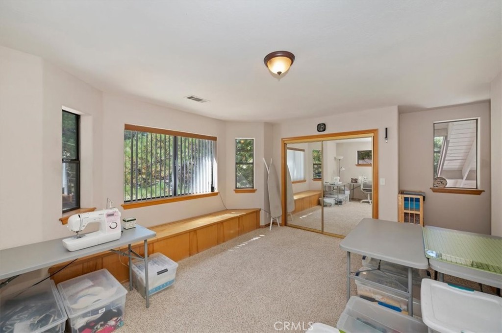 31310 Oakleaf