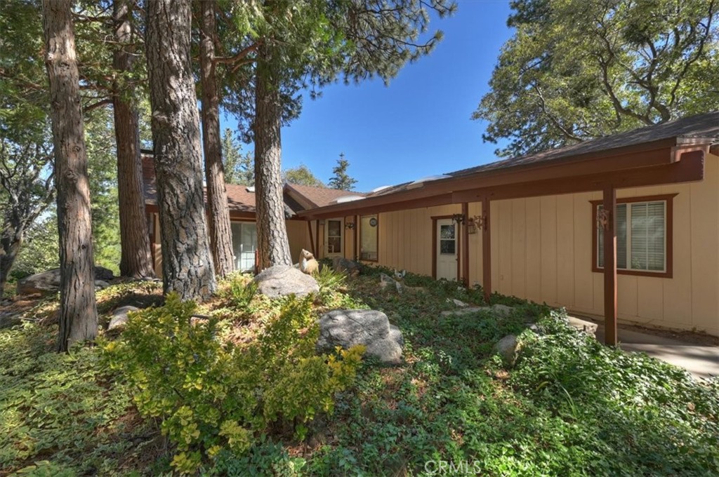 171 Bambi Trail