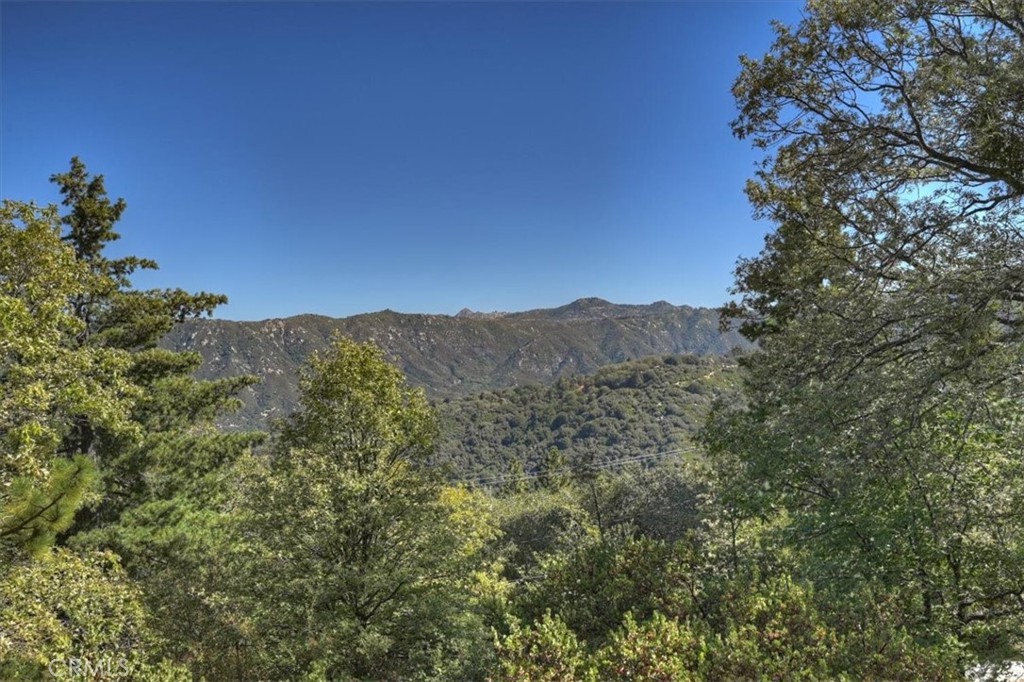 171 Bambi Trail
