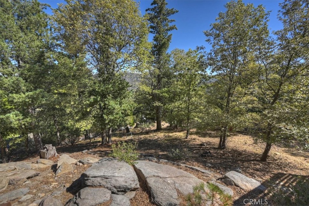 171 Bambi Trail