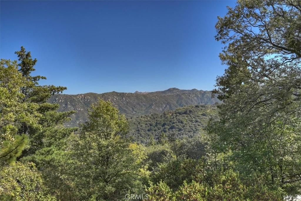171 Bambi Trail