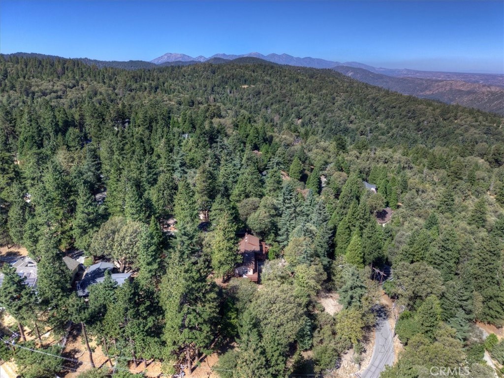 171 Bambi Trail