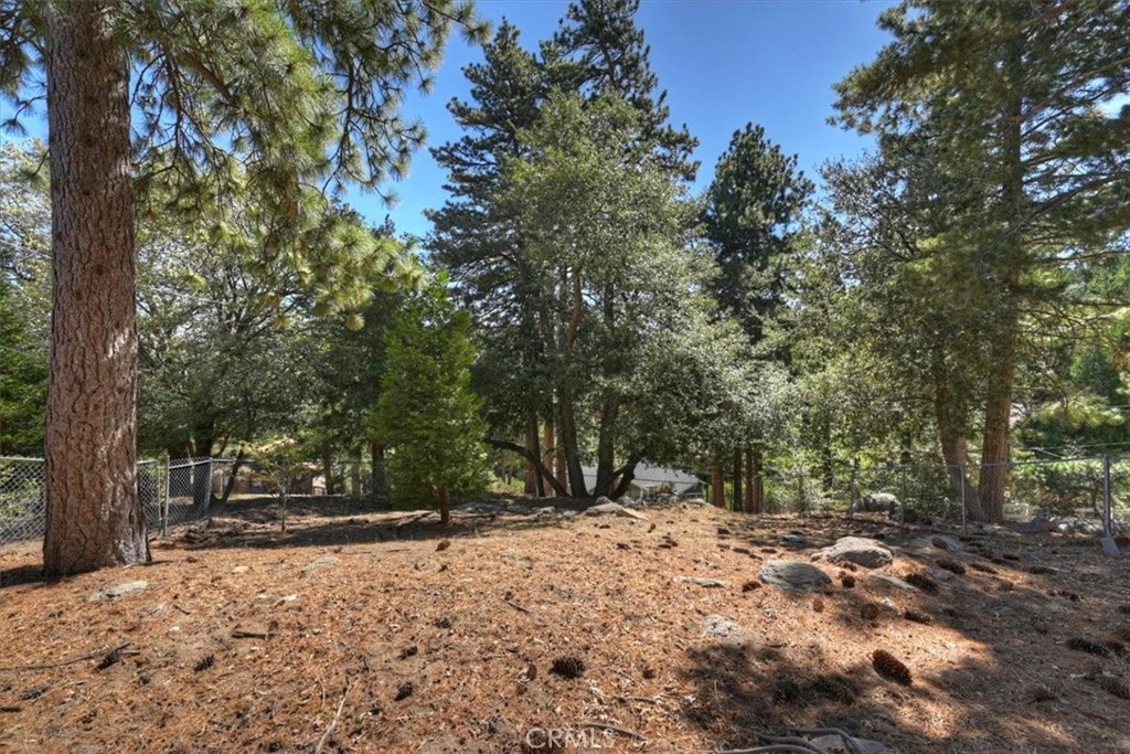 171 Bambi Trail