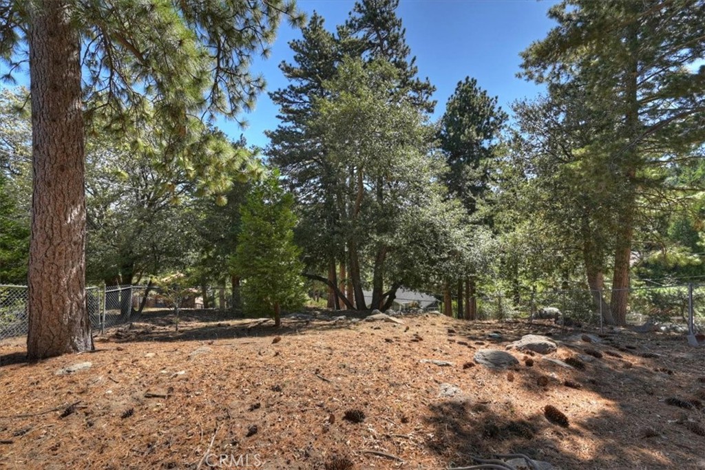 171 Bambi Trail