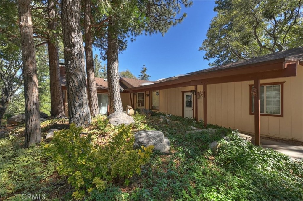 171 Bambi Trail