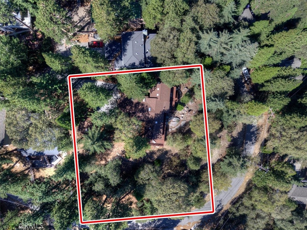 171 Bambi Trail