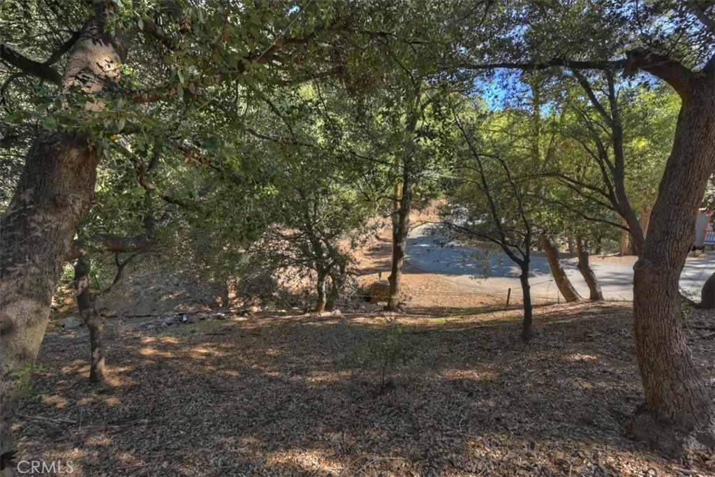 448 Wylerhorn Drive