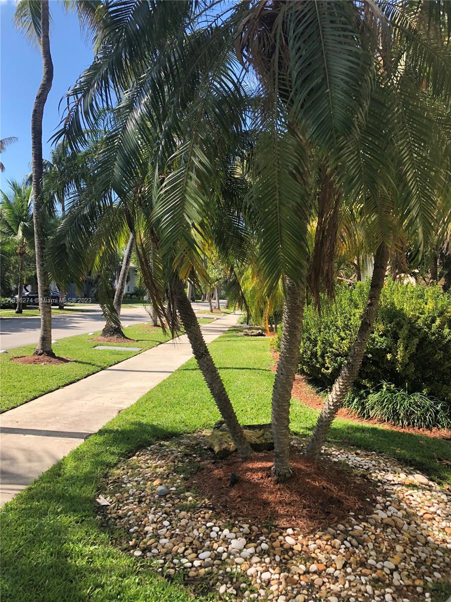 255 Sunrise Dr # 305