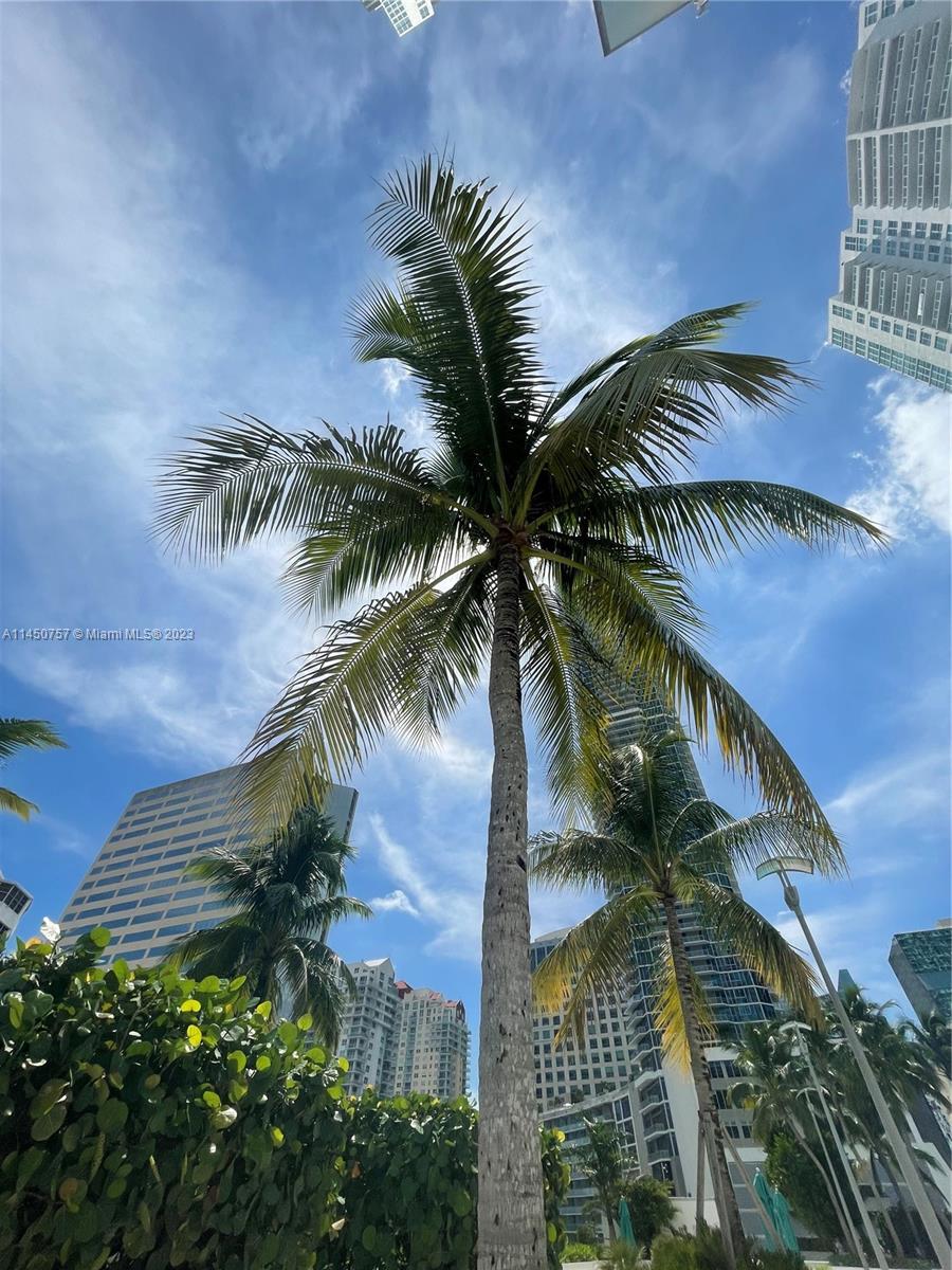 951 Brickell Ave # 3011