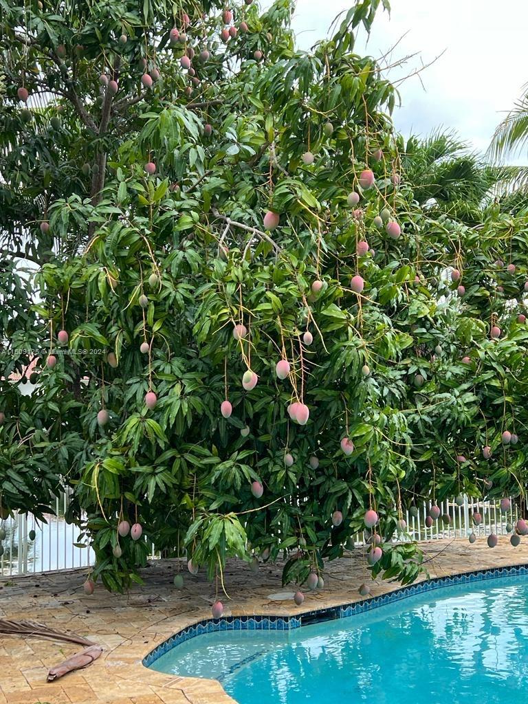 3812 SW 166th Ave # 0