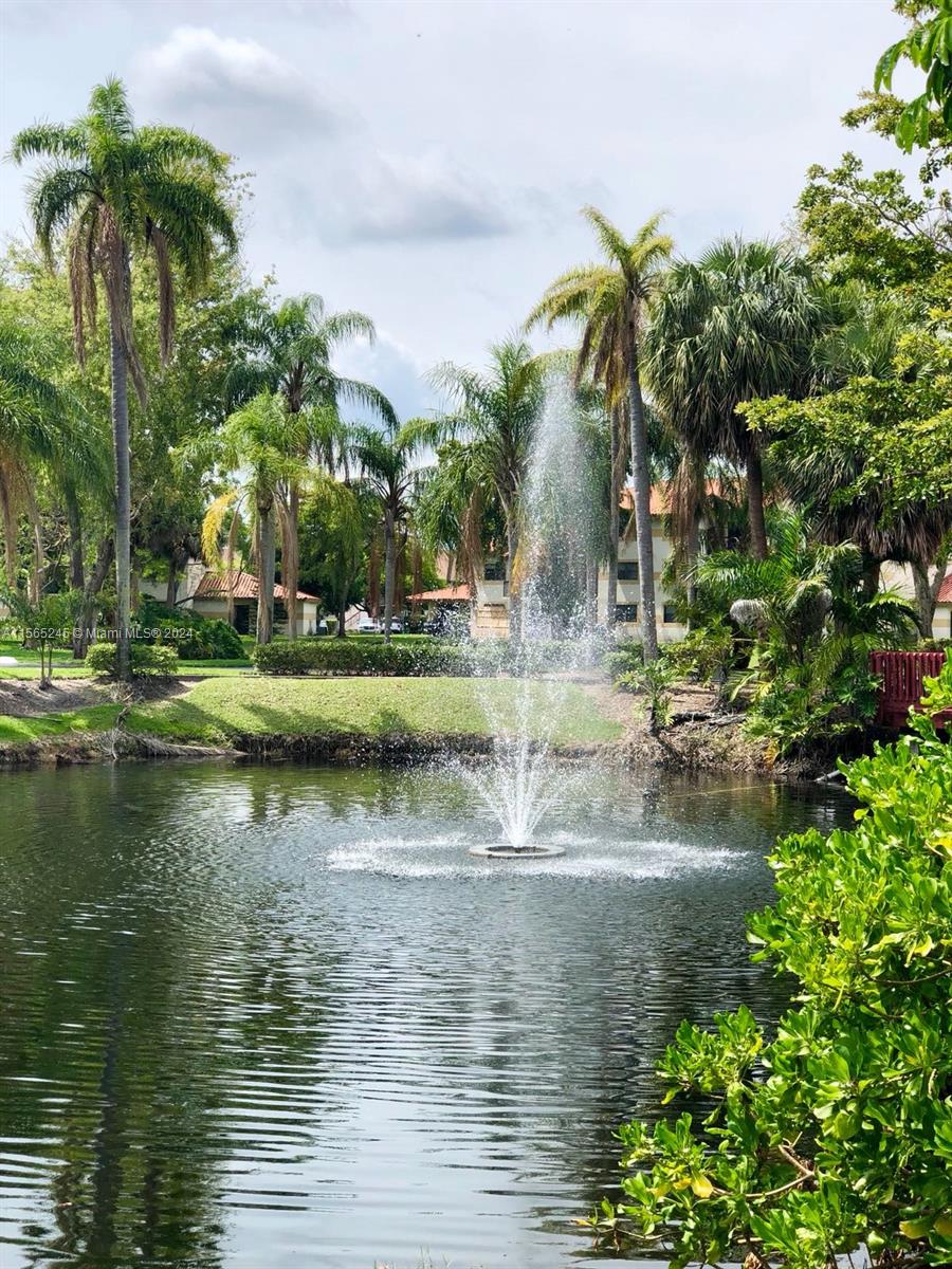 9897 Nob Hill Ln # 9897